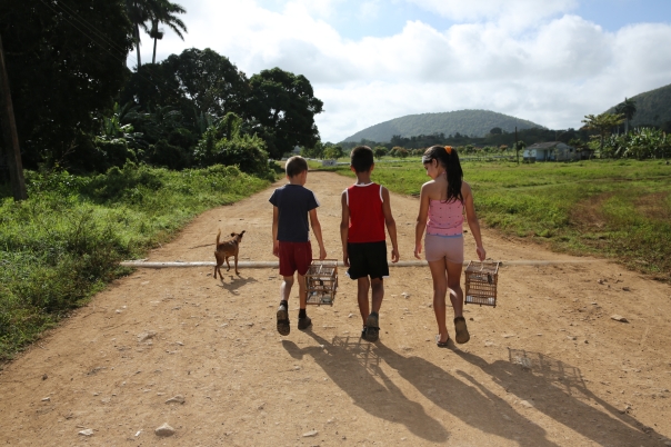 Niños de nuestros campos. Foto: Jesús Reina Carvajal